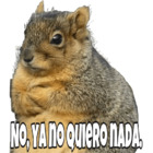 No, ya no quiero nada
