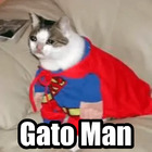 Gato Man
