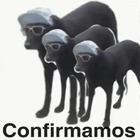 Confirmamos