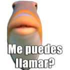 Me puedes llamar?