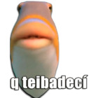 q teibadecí