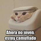 Ahora no joven, estoy camuflado