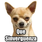 Que Sinverguenza