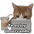 Te estoy observando