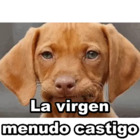 La virgen menudo castigo
