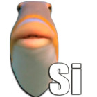 Si