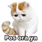Pos ora ya