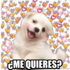 ¿ME QUIERES?