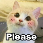 Please