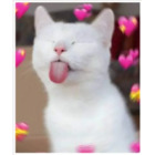 Sticker #3704678