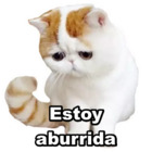 Estoy aburrida