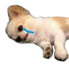 Sticker #4078999