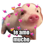 te amo mucho