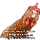 yo esperando el chisme y luego me dicen no hay chisme haaaaaaaaa
