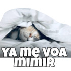 Ya me voa mimir
