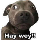Hay wey!!