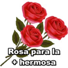 Rosa para la + hermosa