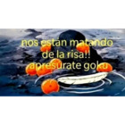 Nos están matando de la risa!! apresúrate goku