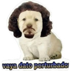 Vaya dato perturbado
