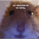 Ya t aburriste de mi cierto¿