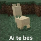 Ai te bes