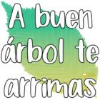 A buen árbol te arrimas