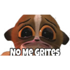 NO ME GRITES