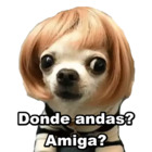 Donde andas? Amiga?