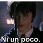 Ni un poco