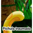 Pichula traumada