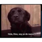 Hola, Dios, soy yo de nuevo