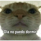 Ola no puedo dormir
