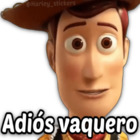 Adiós vaquero