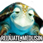 Relájate, medusin