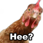 Hee?