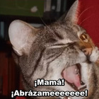 ¡Mamá! ¡Abrázameeeeeee!