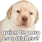 Quien te paso esos stickers?