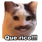 Que rico!!!