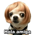 Hola amiga