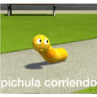 Pichula corriendo