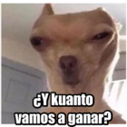 ¿Y kuanto vamos a ganar?