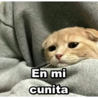 En mi cunita