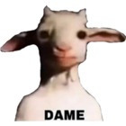 DAME