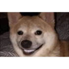 Sticker #8138239