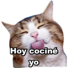Hoy cociné yo