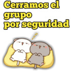 Cerramos el grupo por seguridad
