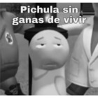 Pichula sin ganas de vivir