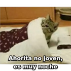 Ahorita no joven, es muy noche
