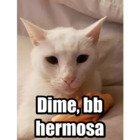 Dime, bb hermosa