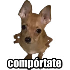 Compórtate